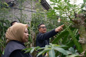 Pengembangan Budidaya Selai Buah Naga di Banyuwangi